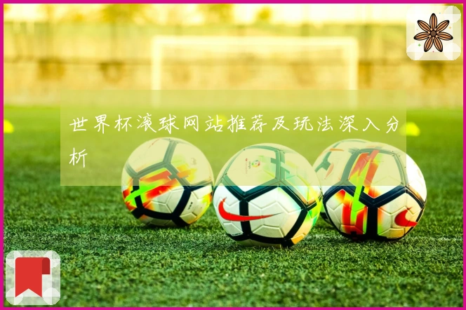 世界杯滚球网站推荐及玩法深入分析
