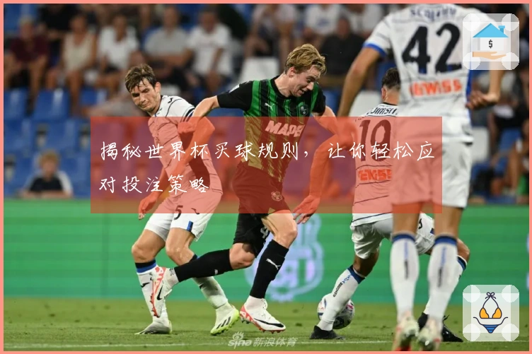 揭秘世界杯买球规则，让你轻松应对投注策略