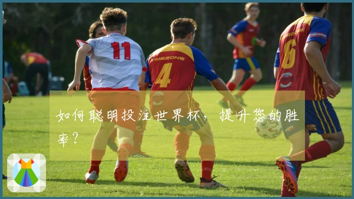 如何聪明投注世界杯，提升您的胜率？