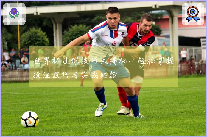 世界杯让球技巧大揭秘，轻松掌握投注技巧与实战经验