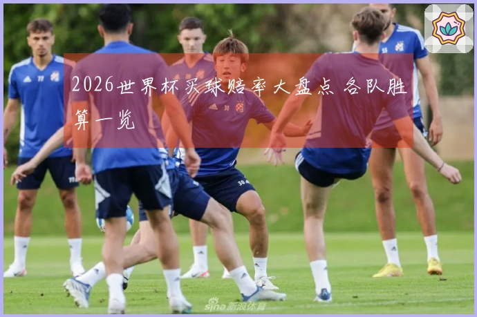 2026世界杯买球赔率大盘点 各队胜算一览
