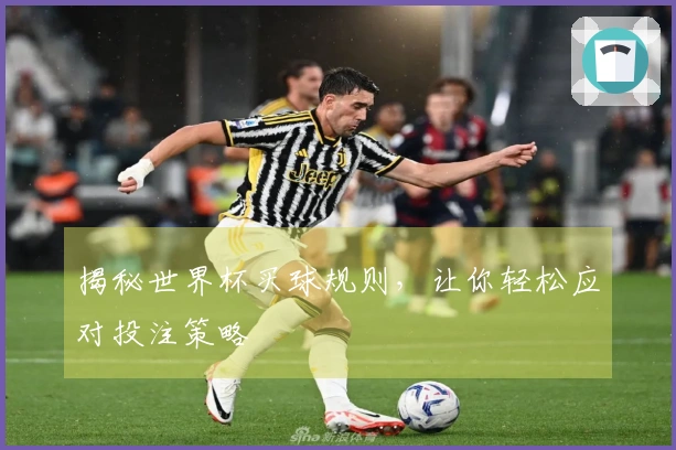 揭秘世界杯买球规则，让你轻松应对投注策略