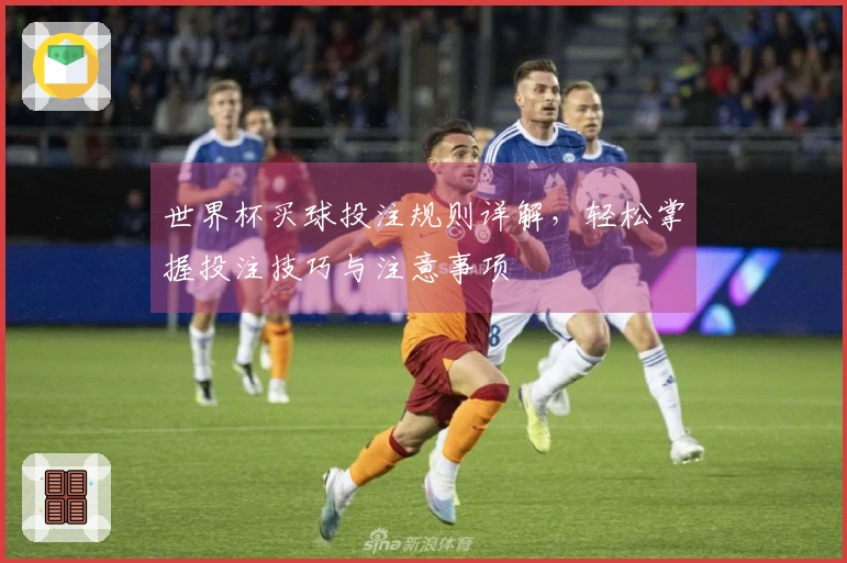 世界杯买球投注规则详解，轻松掌握投注技巧与注意事项