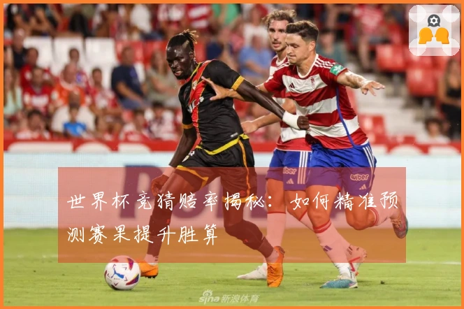 世界杯竞猜赔率揭秘：如何精准预测赛果提升胜算
